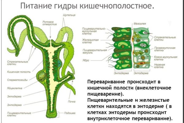 Кракен как зайти ссылка